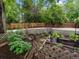Backyard garden with planting beds, lattice, tools, and a wood fence at 5860 W Atlantic Dr, Lakewood, CO 80227