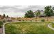 Expansive lawn bordered by a wooden fence and landscaping offering a serene outdoor space at 15977 Red Bud Dr, Parker, CO 80134