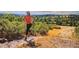 Personal running on a trail in nature with green trees, shrubs and vegetation at 3038 Blithe Pt, Castle Rock, CO 80108