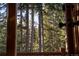 Scenic view of the forest and distant mountains from the house at 609 Brook Dr, Idaho Springs, CO 80452