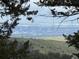 Expansive city view from the property, framed by trees and situated on a green hillside at 23655 Currant Dr, Golden, CO 80401