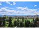 Expansive view of the Denver skyline and lush city park in the foreground at 1223 Race St # 605, Denver, CO 80206