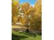 Picturesque view of golden-leafed trees adding beauty to the landscape at 10915 Acadia Ln, Parker, CO 80138