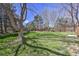 Wide backyard featuring a large shade tree and lush lawn surrounded by a wooden fence and mature trees at 9265 Roadrunner St, Highlands Ranch, CO 80129