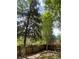 Backyard features mature trees and a wooden privacy fence at 14503 E Wagon Trail Dr, Aurora, CO 80015