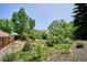 This spacious backyard is complete with mature trees, wood fencing, and garden area at 800 Park View Pl, Castle Rock, CO 80104