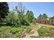 Spacious backyard featuring lush greenery, mature trees, stone pathway, and a wood fence at 800 Park View Pl, Castle Rock, CO 80104