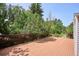 Large wood deck with railing offers scenic views of the lush backyard at 800 Park View Pl, Castle Rock, CO 80104
