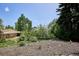 This spacious backyard is complete with mature trees, wood fencing, and garden area at 800 Park View Pl, Castle Rock, CO 80104