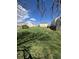 Spacious grassy yard surrounded by houses and green bush, offering a peaceful outdoor setting at 10810 Summerset Way, Parker, CO 80138
