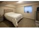 Bright basement bedroom featuring a queen-size bed at 4236 Lark Sparrow St, Highlands Ranch, CO 80126