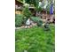 Beautiful backyard with chickens grazing among lush greenery, a rock border, and mature landscaping at 6864 Balsam St, Arvada, CO 80004