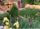 Landscaped backyard featuring grass, shed, garden, fence and a variety of plants and flowers at 6864 Balsam St, Arvada, CO 80004