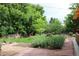 The landscaped backyard boasts a stone path, lush plantings, and mature trees, perfect for relaxing and entertaining at 6864 Balsam St, Arvada, CO 80004