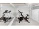 Basement gym featuring a treadmill, peloton, and mirrored wall at 1220 S Vine St, Denver, CO 80210