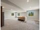 Expansive finished basement with plush carpeting, large windows, and neutral color palette at 1505 Castlecombe Ln, Monument, CO 80132