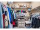 Spacious walk-in closet with shelving, rods, and storage for clothes, shoes, and accessories at 2835 S Jebel Way, Aurora, CO 80013