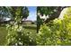 Backyard with lovely landscaping and shrubbery at 13010 W 6Th Pl, Golden, CO 80401