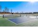 Two pickleball courts in a community setting at 2202 Indian Paintbrush Way, Erie, CO 80516