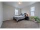 Cozy bedroom with plush carpeting, natural light from two windows, and neutral décor at 3008 Blithe Pt, Castle Rock, CO 80108