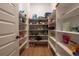 Pantry with plentiful shelving for organized storage space at 3008 Blithe Pt, Castle Rock, CO 80108