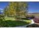 Lush backyard with mature trees, landscaping, and ample space for recreation at 698 Larimer Creek Dr, Monument, CO 80132