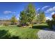 Beautiful backyard features a lush lawn, mature trees, and a charming wood fence, creating a serene outdoor space at 698 Larimer Creek Dr, Monument, CO 80132