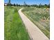 A winding walking trail surrounded by native grass and greenery at 14310 Kalamath St, Westminster, CO 80023