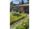 Delightful front yard showcasing colorful wildflowers and the home's classic brick facade at 11223 W 29Th Ave, Lakewood, CO 80215