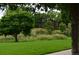 A well-maintained green space with lush trees and landscaping surrounding the property at 400 Zang St # 1-105, Lakewood, CO 80228