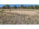 Sandy community volleyball court surrounded by grassy areas and trees at 400 Zang St # 1-105, Lakewood, CO 80228
