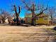 Backyard view featuring home exterior, mature trees and a partial gravel driveway at 2561 W Dartmouth Ave, Denver, CO 80236