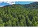 Lush green forest covering a hillside with a bright blue sky above at 15533 S Perry Park Rd, Palmer Lake, CO 80133