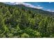 Beautiful aerial shot of a lush forest on a hillside, showcasing the natural landscape at 15533 S Perry Park Rd, Palmer Lake, CO 80133