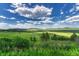 Vibrant green landscape with rolling hills under a blue sky filled with fluffy white clouds at 15533 S Perry Park Rd, Palmer Lake, CO 80133