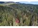 Secluded mountain home with a brown roof nestled among towering pine trees and scenic views at 27802 Shadow Mountain Dr, Conifer, CO 80433