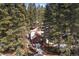 Aerial view of a house nestled among tall evergreen trees in a snow covered landscape at 27802 Shadow Mountain Dr, Conifer, CO 80433