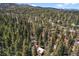 Vast forest landscape with property nestled among the trees, providing privacy and seclusion at 27802 Shadow Mountain Dr, Conifer, CO 80433