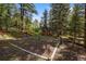 Outdoor playground with a slide, climbing structure, and play area in a peaceful backyard setting with mature trees at 27802 Shadow Mountain Dr, Conifer, CO 80433