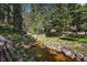 Scenic creek winding through a lush, forested landscape with a hammock at 27802 Shadow Mountain Dr, Conifer, CO 80433