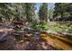 Picturesque creek surrounded by trees, featuring a small bridge and a natural, rocky landscape at 27802 Shadow Mountain Dr, Conifer, CO 80433