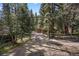 Rustic property entrance featuring a wooden gate and gravel driveway leading to a cozy cabin surrounded by tall pine trees at 27802 Shadow Mountain Dr, Conifer, CO 80433