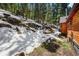 Cabin showcasing the wood siding with hillside and mature evergreens in the background at 27802 Shadow Mountain Dr, Conifer, CO 80433