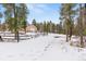 Scenic backyard with snow-covered ground, a fence, and a storage outbuilding at 27987 Pine Grove Trl, Conifer, CO 80433