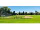 Well-maintained baseball field with lush green grass, set against a backdrop of mature trees at 1141 Adams St, Denver, CO 80206