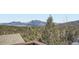 Beautiful mountain views surrounded by lush green trees and a clear blue sky at 11932 Coal Creek Heights Dr, Golden, CO 80403