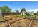 Backyard raised garden beds surrounded by lush green grass and a wooden privacy fence at 11021 Otis St, Westminster, CO 80020