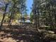 Rustic cabin nestled among the trees, offering privacy and natural beauty with a glimpse of the deck at 274 Lincoln Dr, Idaho Springs, CO 80452