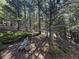 Natural, tranquil wooded landscape surrounds this home with a variety of trees and ground cover at 274 Lincoln Dr, Idaho Springs, CO 80452