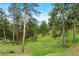Lush backyard setting features mature trees and gently sloping green space at 2164 Foothills S Dr, Golden, CO 80401
